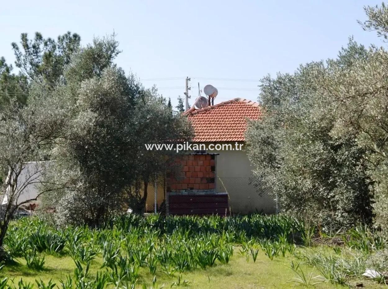 Villa Zu Verkaufen Schnäppchen Ortaca Im Plot