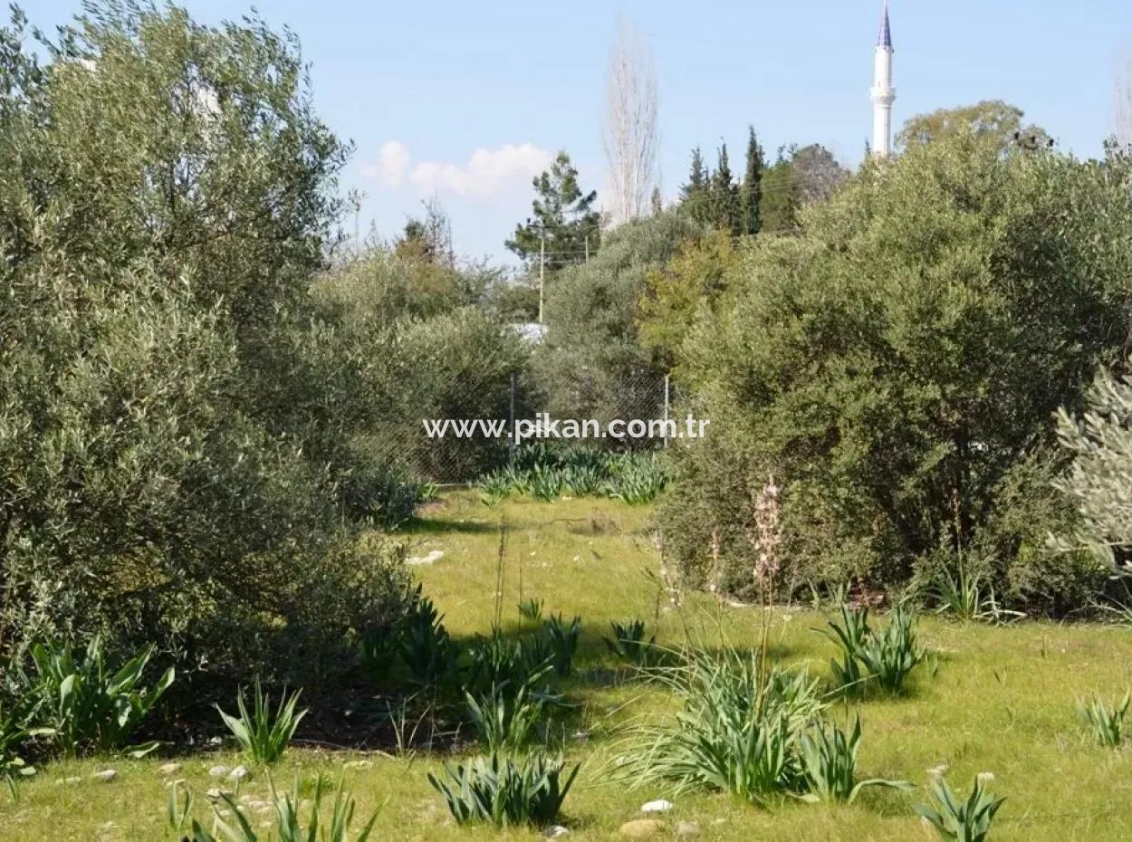 Villa Zu Verkaufen Schnäppchen Ortaca Im Plot