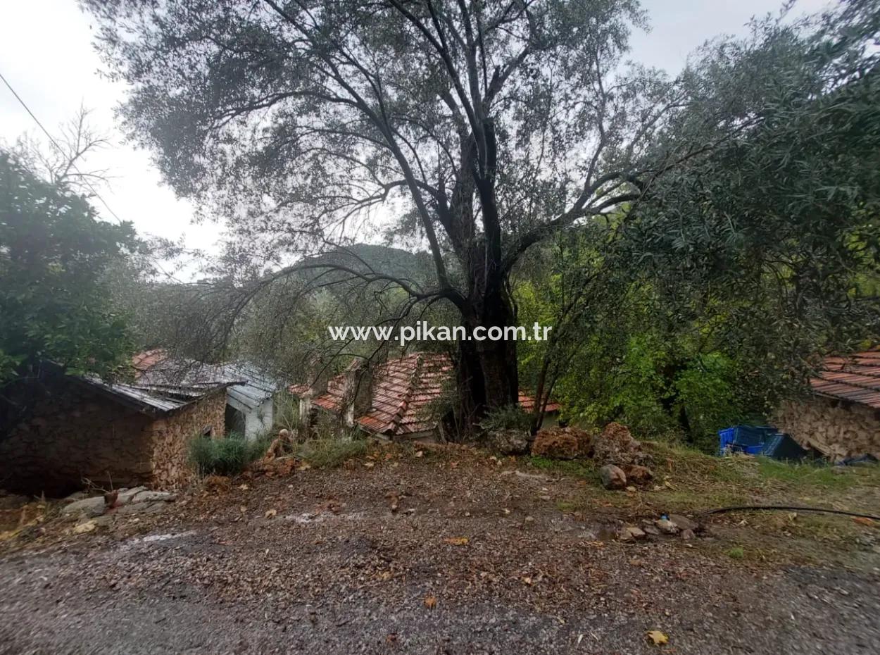 Dorfhaus Mit Eigentumsurkunde Zum Verkauf In Der Natur In Muğla Fethiye İnlice