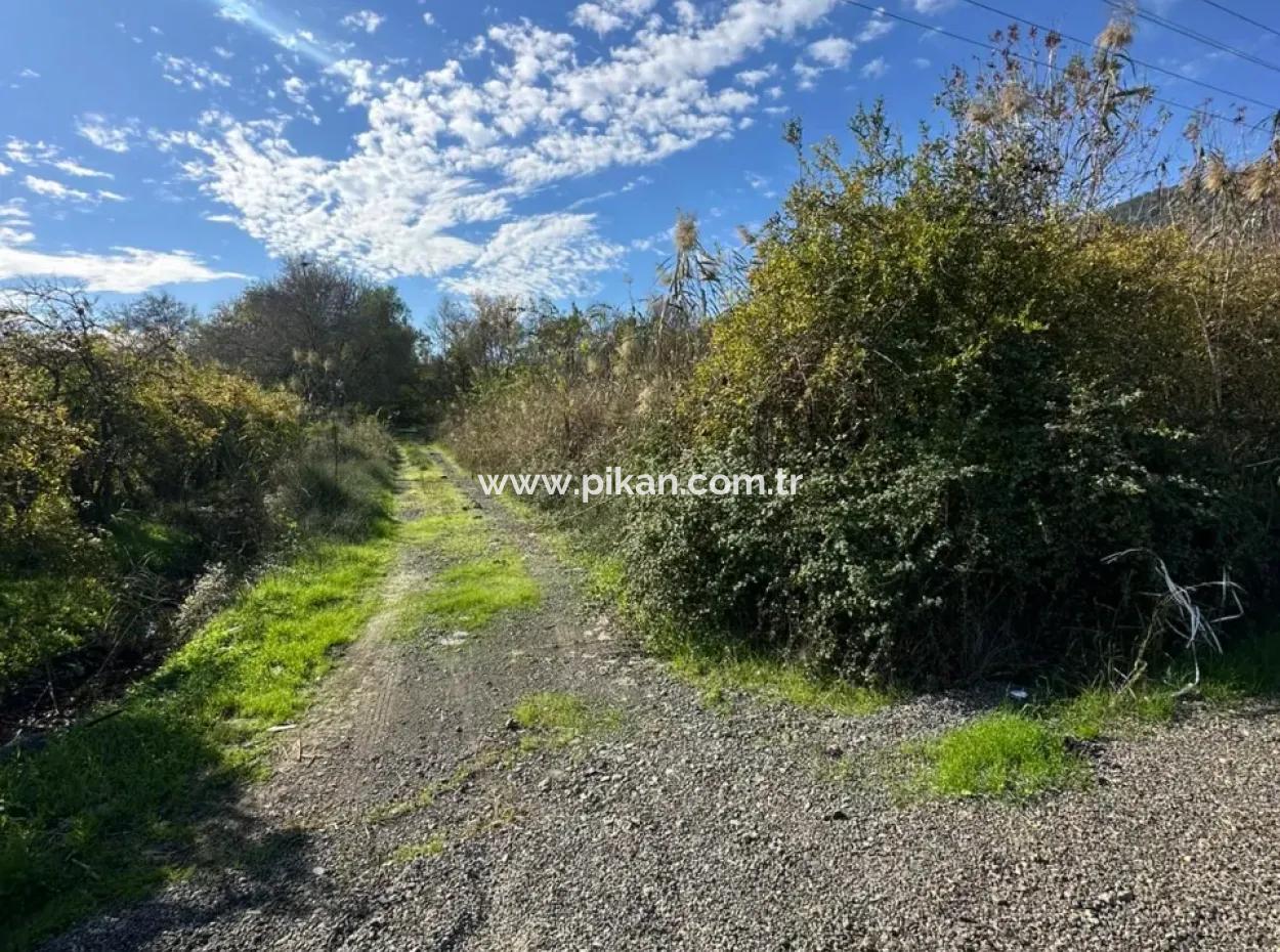 12 000 M2 Feld Zum Verkauf In Ortaca Yeşilyurt