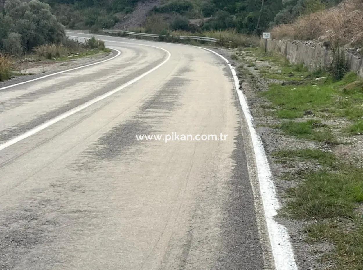 1.025 M2 Qualifiziertes Olivenhain-Land In Muğla Milas Çakıralan Steht Zum Verkauf