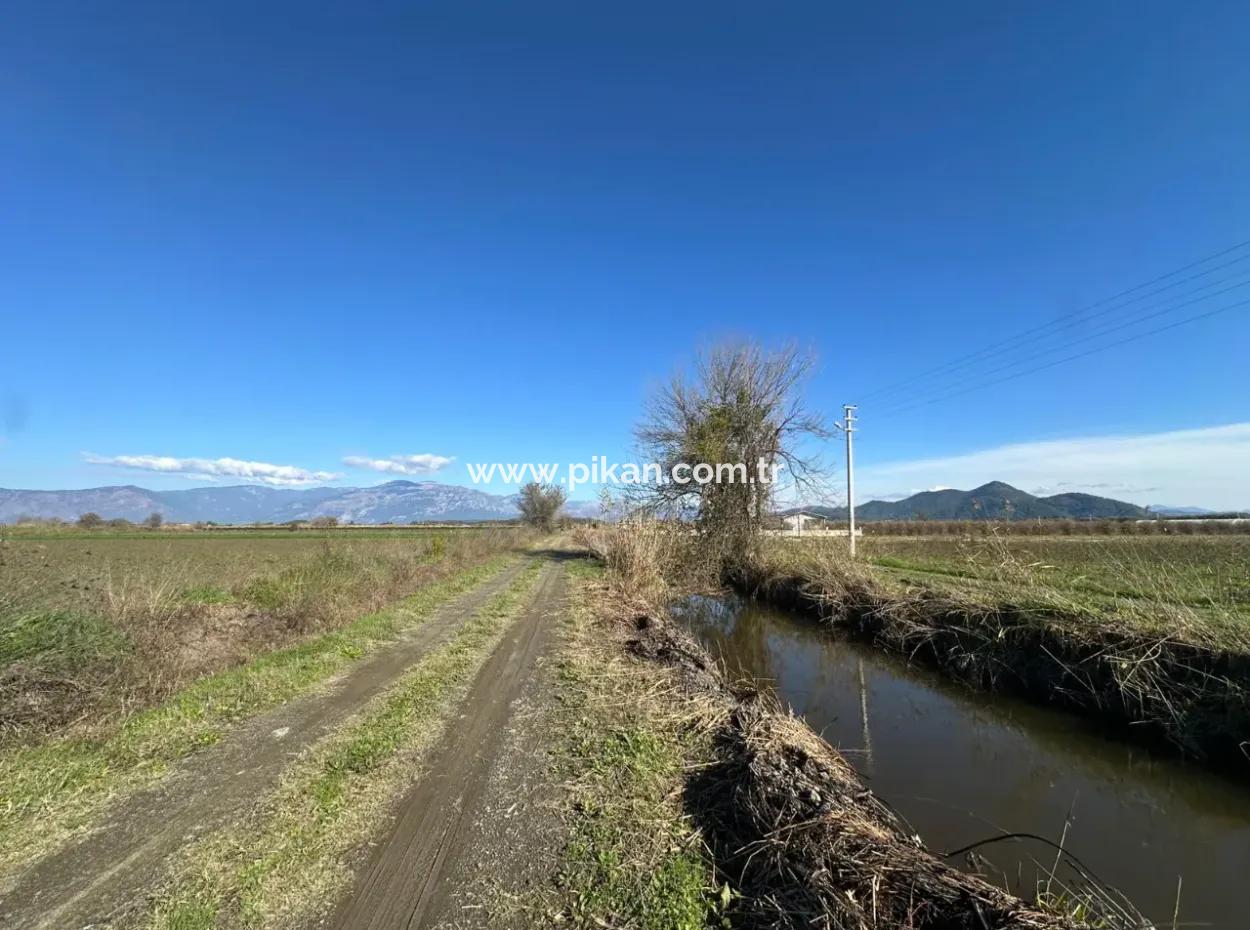 Feld Zum Verkauf In Der Nähe Von Dalyan, Nahe Dem Köyceğiz-See