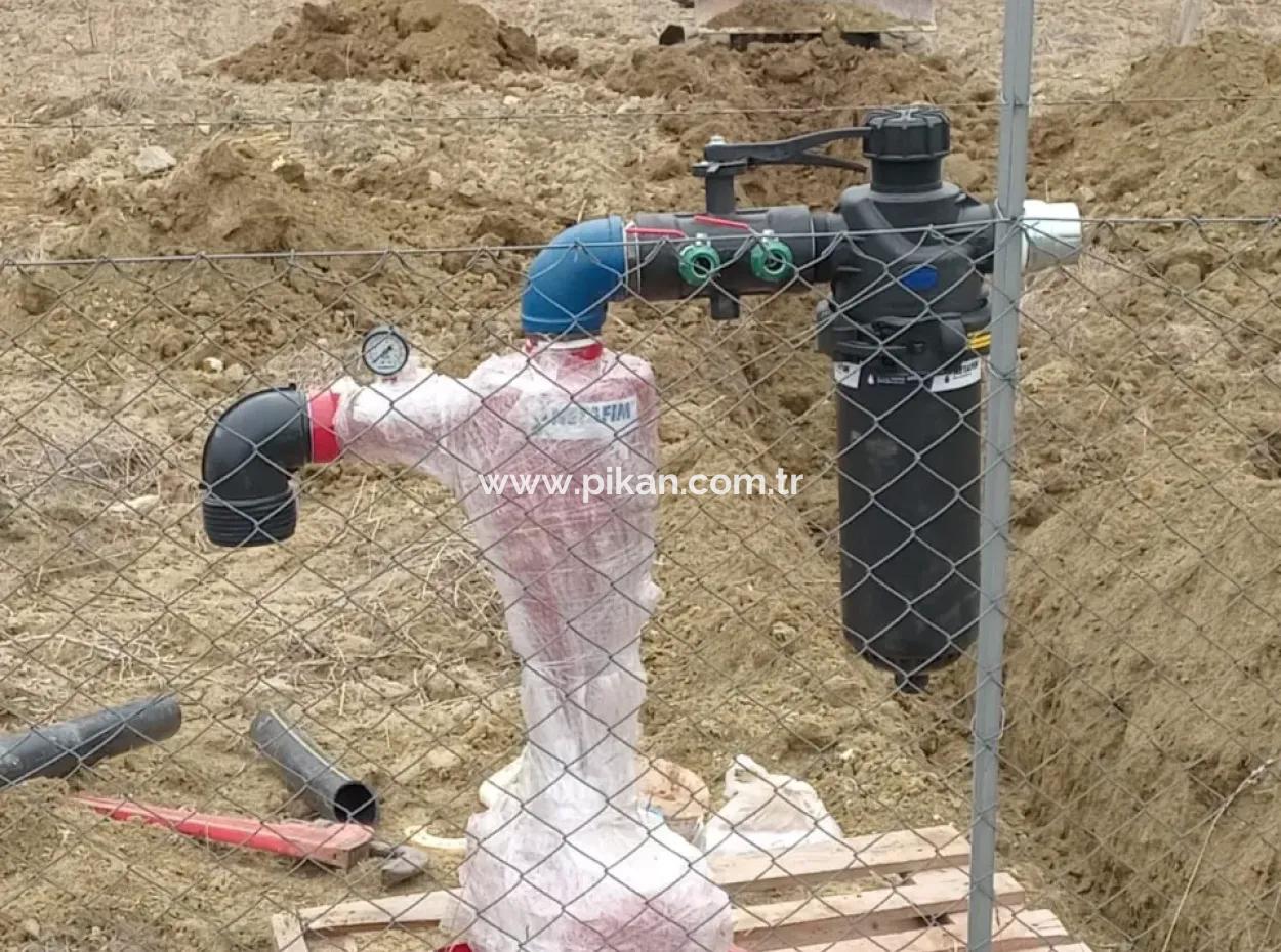 37.000 M² Walnussgarten In Denizli Tavas Ulukent Zum Verkauf