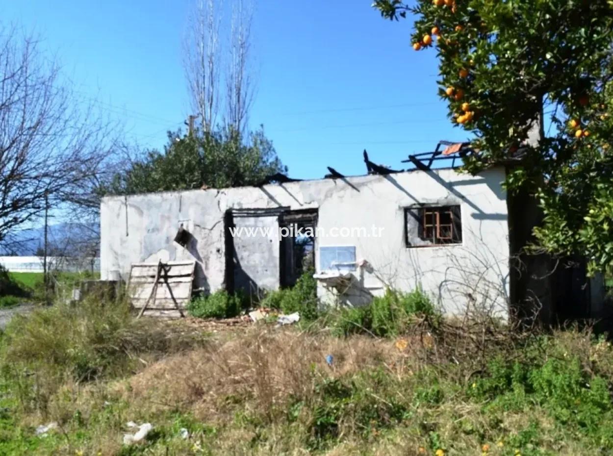 Schnäppchen Haus Im Dorf Zum Verkauf In Bogenschützen Oriya