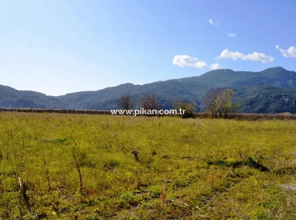 Bauernhof Zum Verkauf Schnäppchen In Dalyan