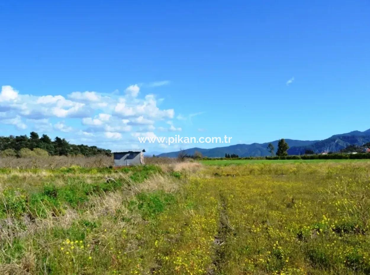 Bauernhof Zum Verkauf Schnäppchen In Dalyan