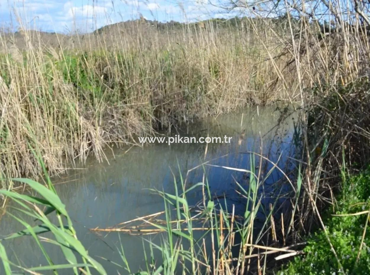 Bauernhof Zum Verkauf Schnäppchen In Dalyan