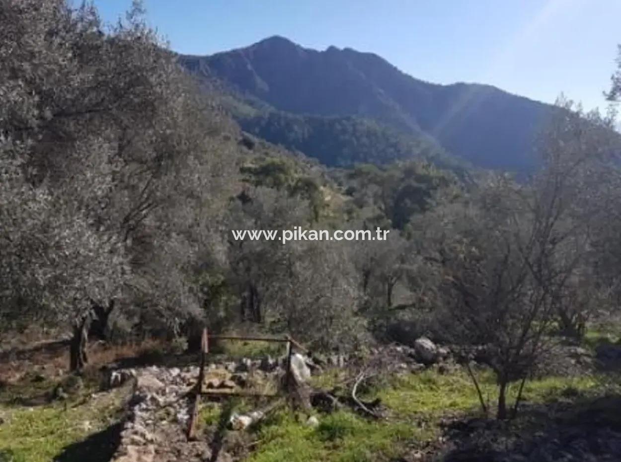 Meerblick Land Zum Verkauf In Göcek Gökçeovacık