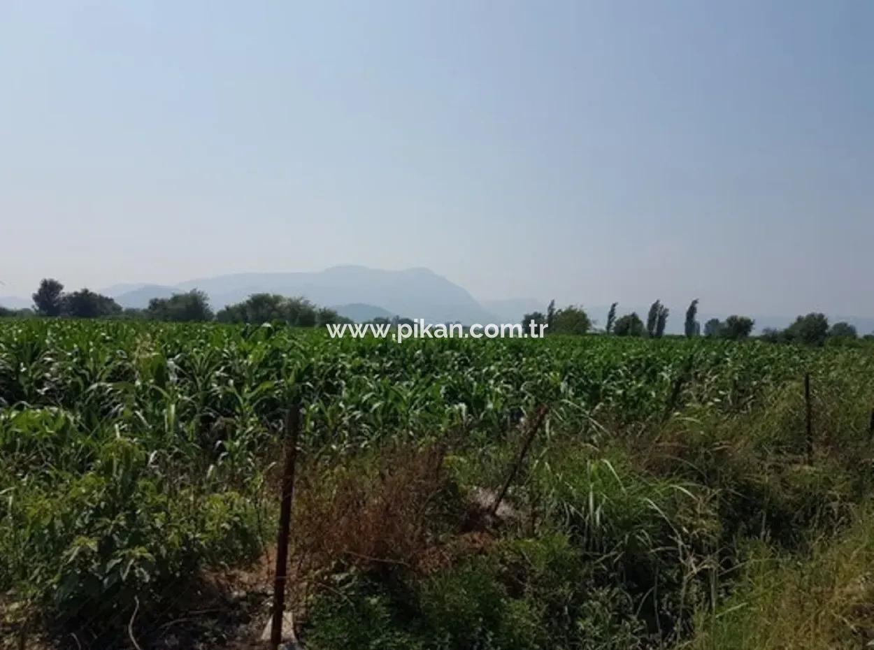 3000 M2 Grundstück Geeignet Für Investitionen Zum Verkauf In Mugla Ortaca Bogenschützen