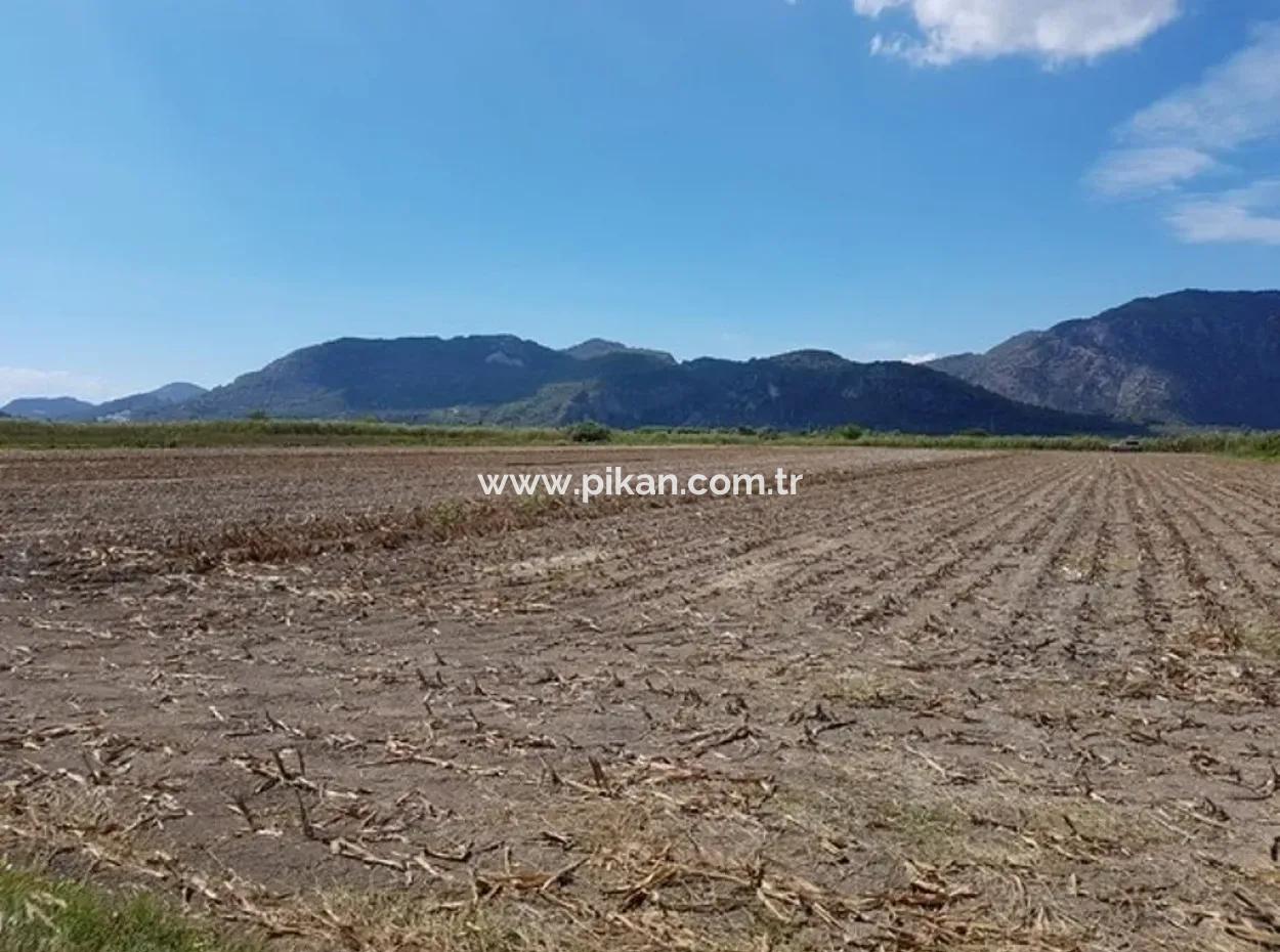 Fruchtbares Land Zum Verkauf In Famagusta Schnäppchen