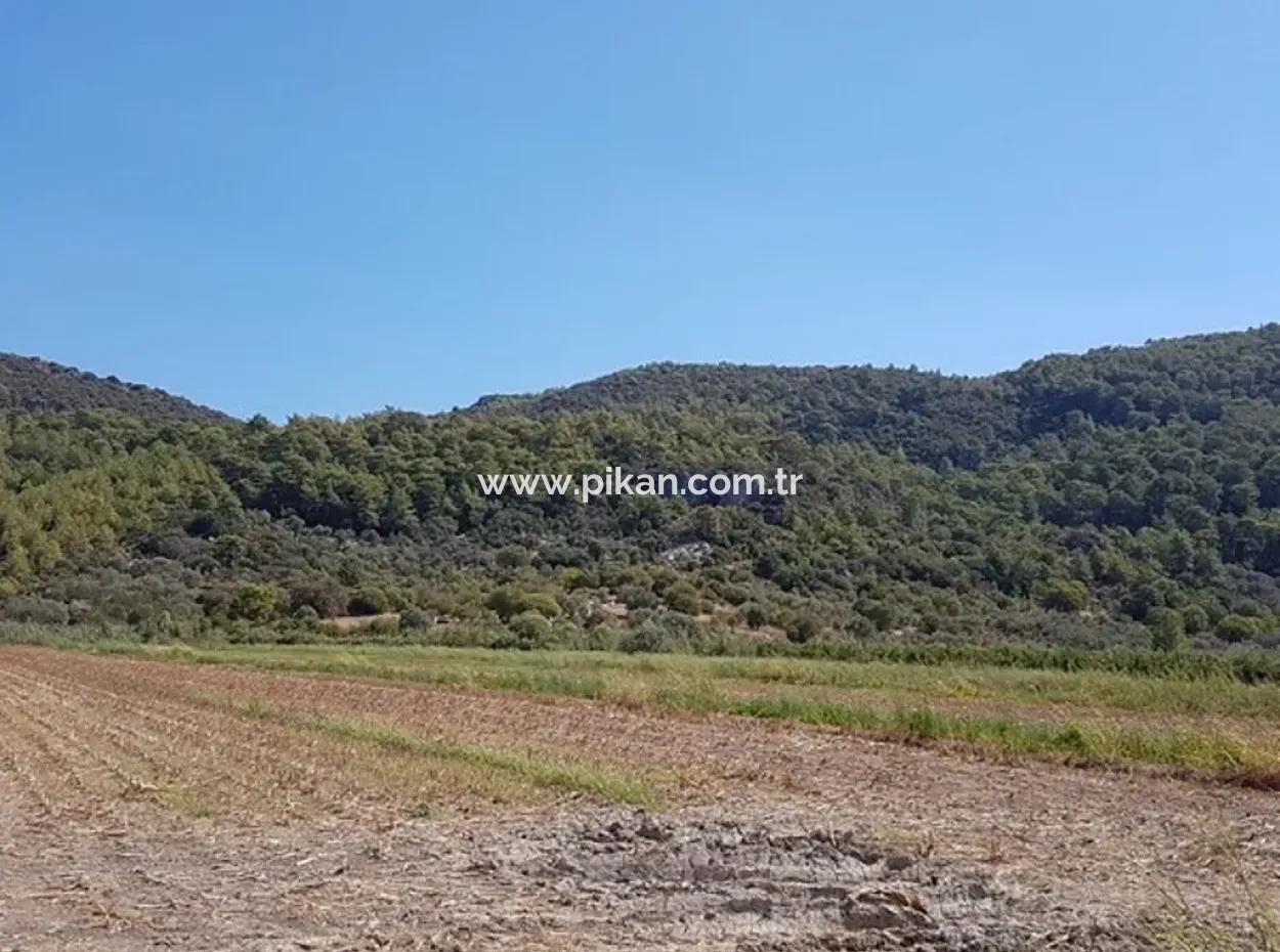 Fruchtbares Land Zum Verkauf In Famagusta Schnäppchen