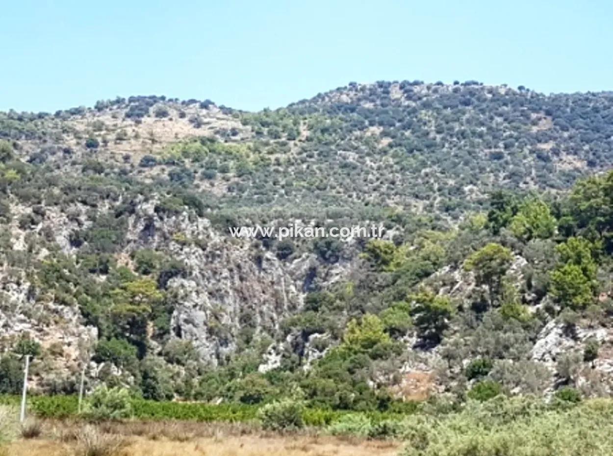 Grundstück Mit Meerblick Zum Verkauf In Mugla Dalaman Kapıkargın