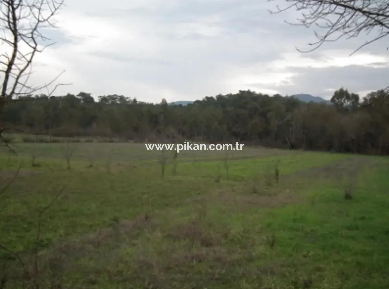 Ula Karabortlen Null An Der Hauptstraße, Grundstücke Zum Verkauf