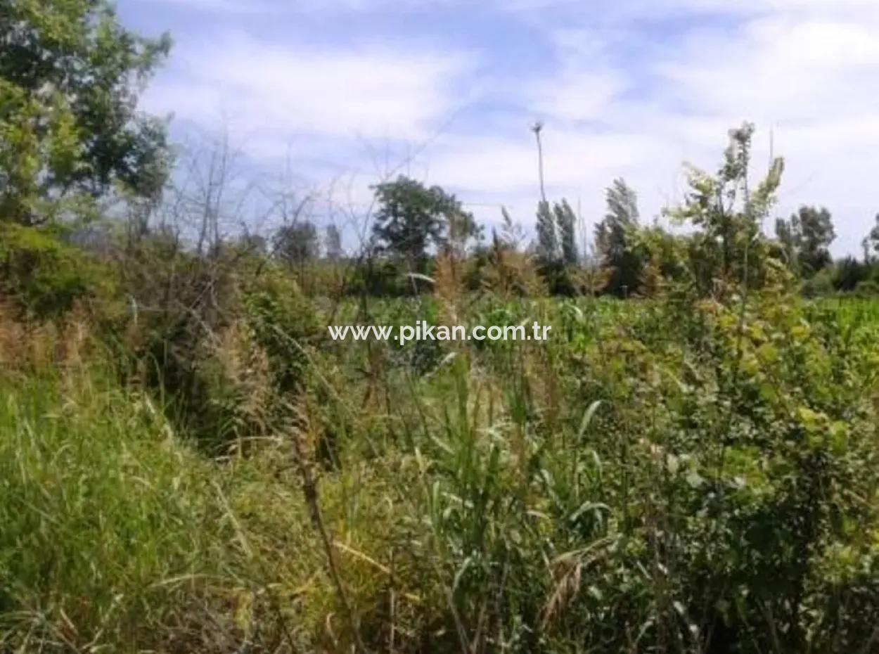 Oriya Land In Der Nähe Der Hauptstraße Zum Verkauf In Fethiye