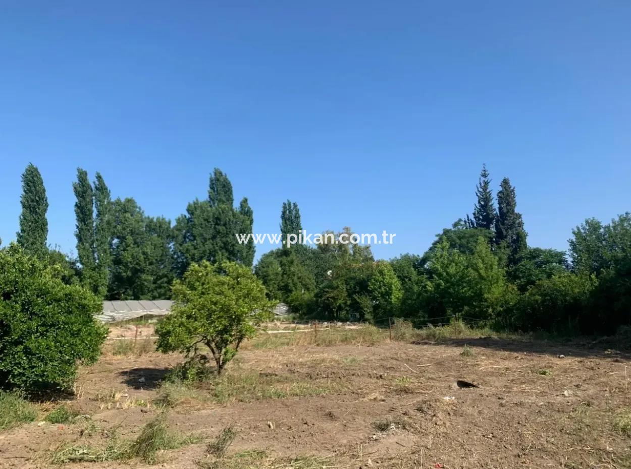 Villa-358 M2 Grundstück Zum Verkauf In Oriya Auch