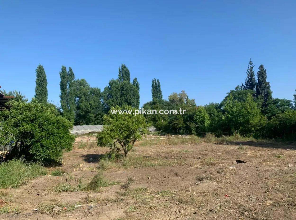 Villa-358 M2 Grundstück Zum Verkauf In Oriya Auch