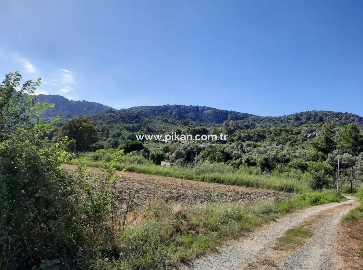 Oriya Fevziye Land Zum Verkauf In Null-Straße