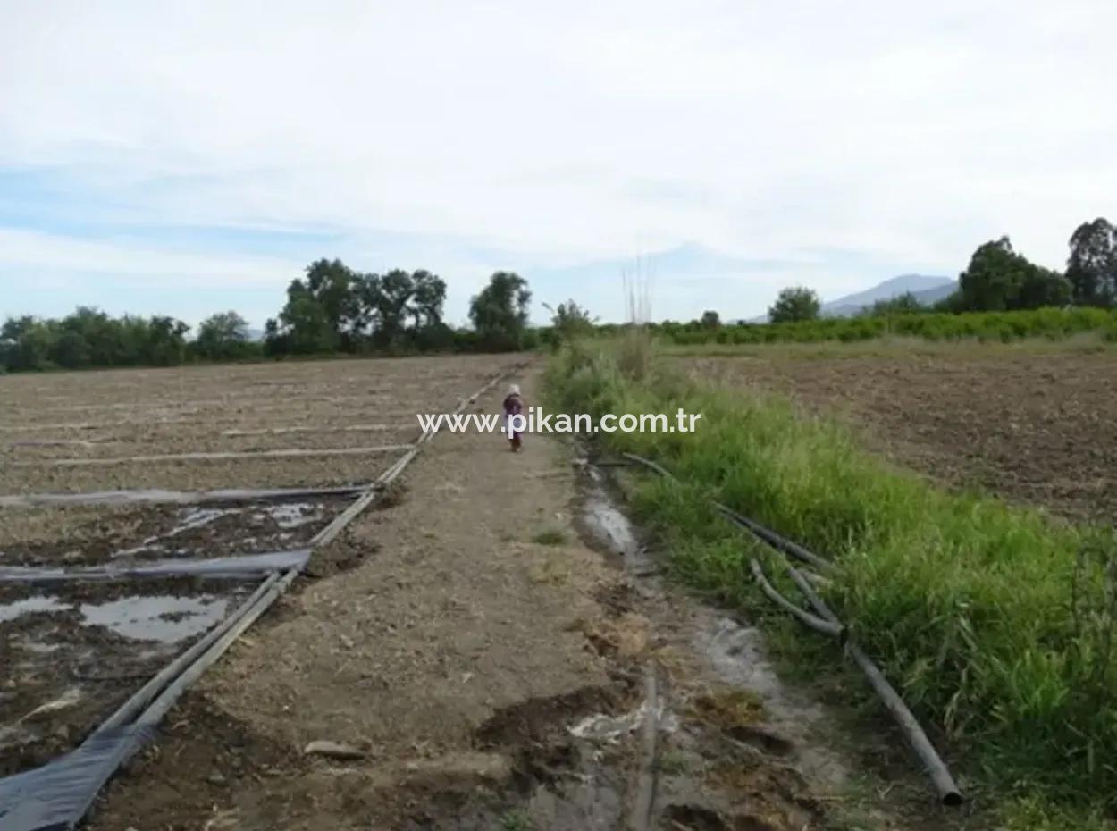 Auch Geeignet Für Investment-31,175 M2 Land Für Verkauf In Koycegiz Bis