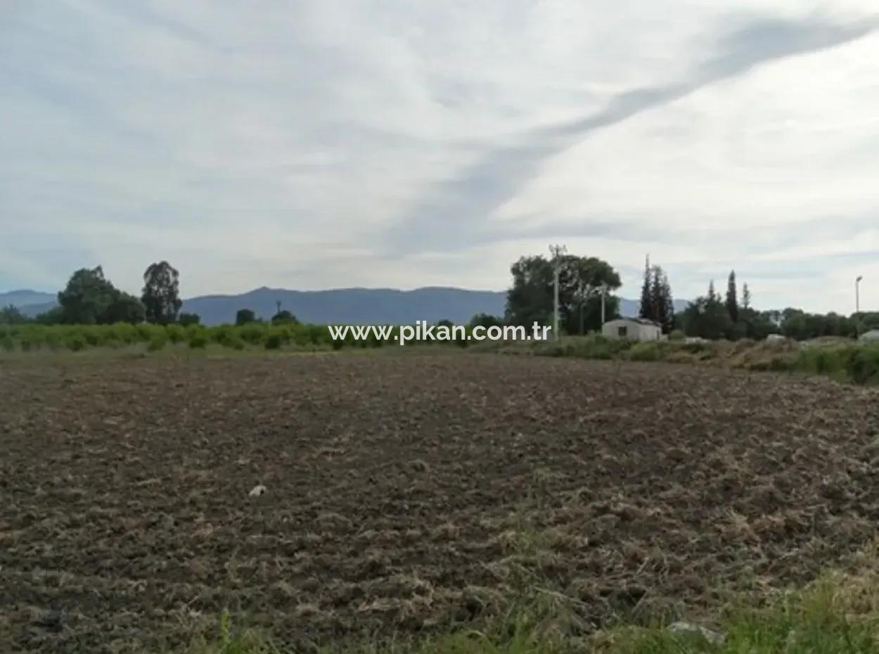Auch Geeignet Für Investment-31,175 M2 Land Für Verkauf In Koycegiz Bis
