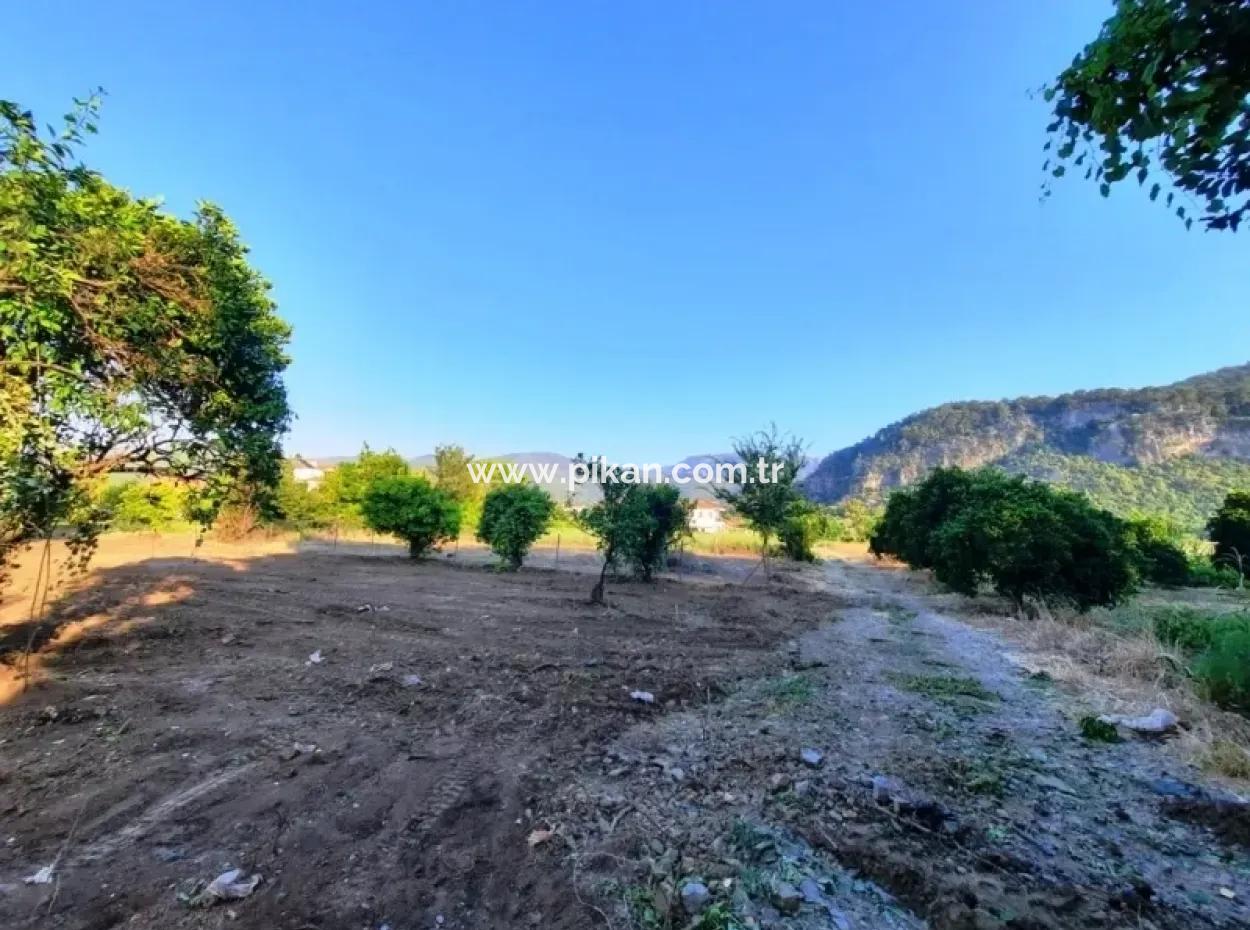 Bogenschützen Grundstück Zum Verkauf Mit Eigentumsurkunde