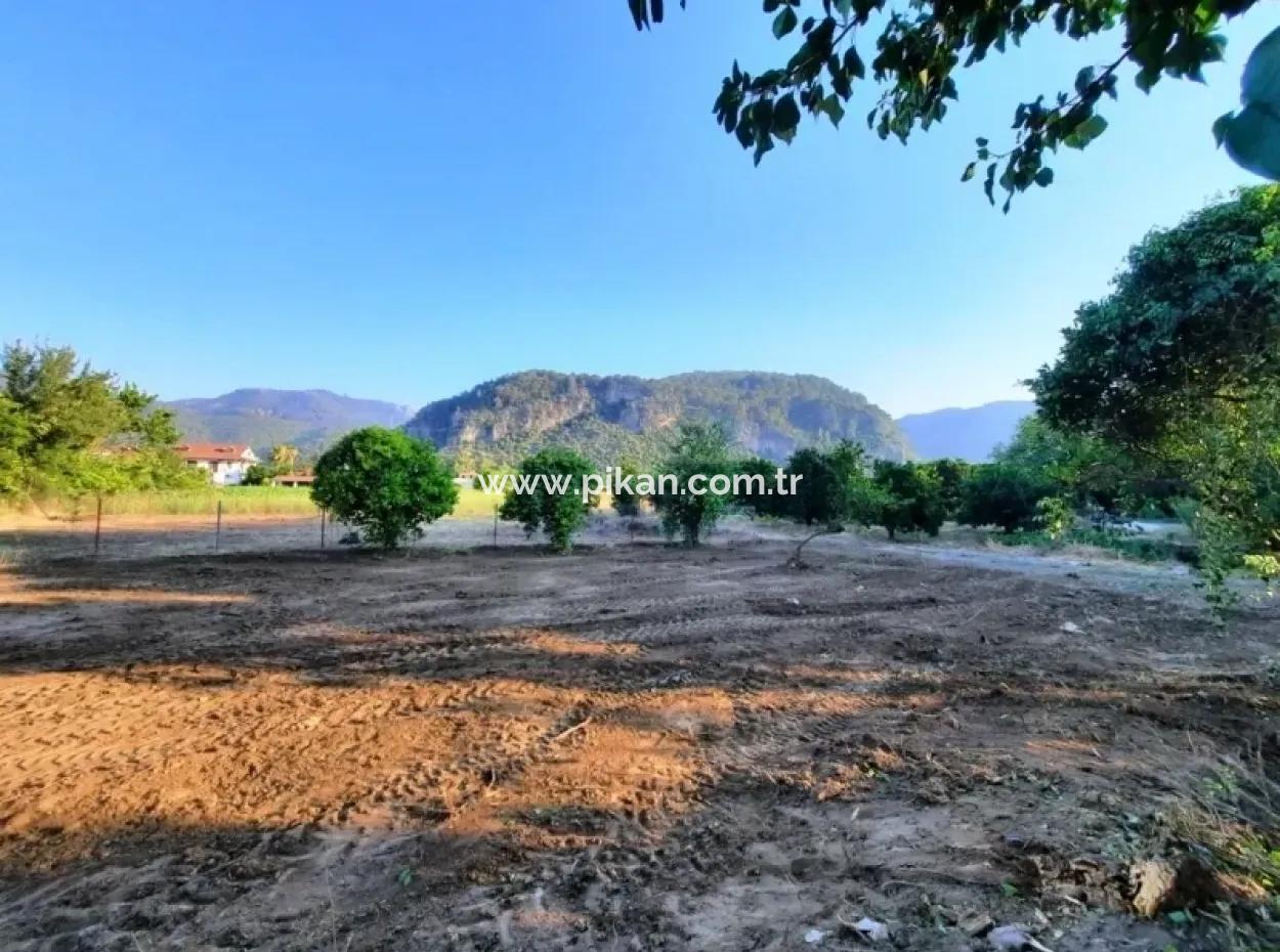 Bogenschützen Grundstück Zum Verkauf Mit Eigentumsurkunde