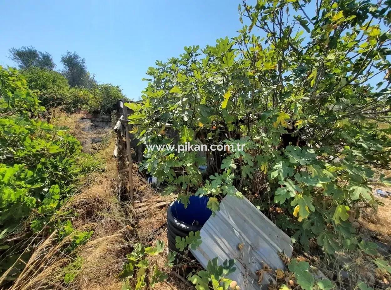 Zoning Land Zu Verkaufen In Köycegiz Topars
