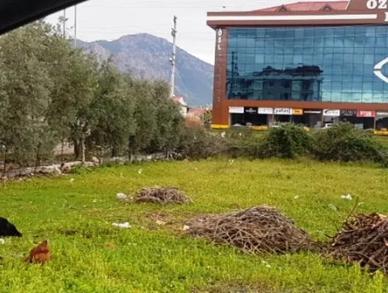 Kommerzielles Grundstück Für Verkauf In Oriya