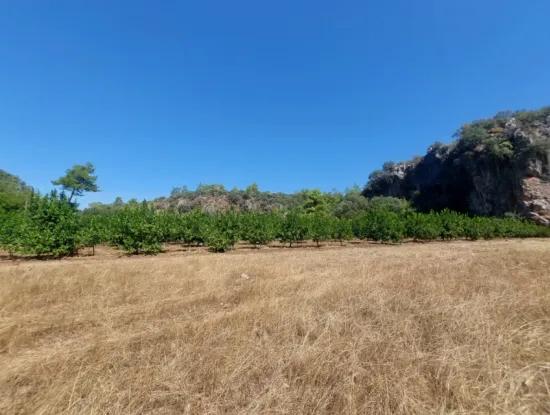 4.427 M2 Fruchtbares Land Mit Blick Auf Die Berge Und Die Natur In Ortaca Okçular Zu Verkaufen