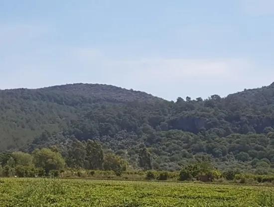 Oriya Eksiliyurt Mah. 26512 M2 Ackerland Auch Zum Verkauf