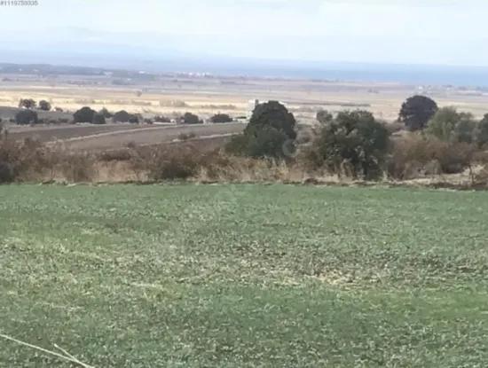 Canakkale Biga Koruobada Schnäppchen Mit Meerblick 9 715 M2 Freistehendes Freistehendes Fruchtbares Grundstück Zum Verkauf