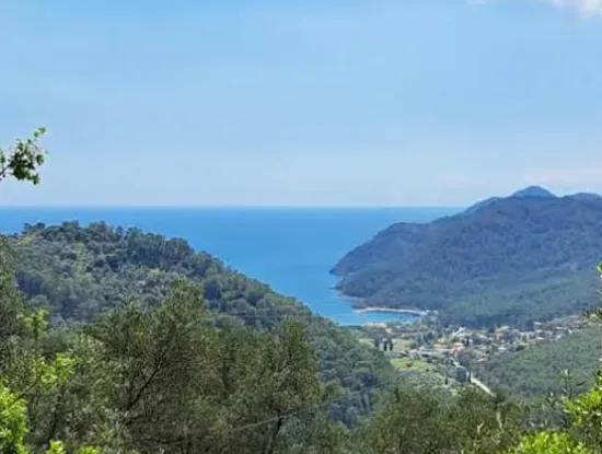 720 M² Olivenhain Mit Meerblick Zum Verkauf In Köyceğiz Ekincik, Muğla