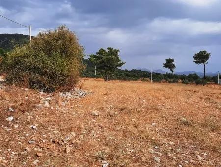 Freistehendes Land Mit Seeblick Zum Verkauf In Köycee'iz Zeytin Bereich