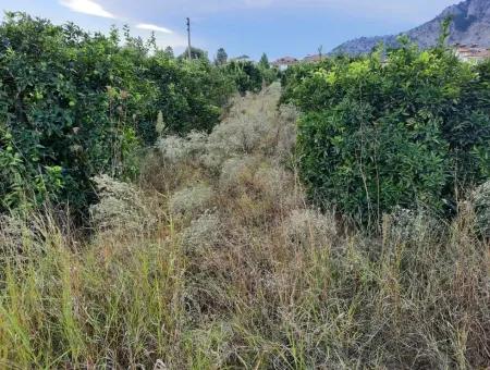 Mugla Dalyan Schnäppchen Zoning Land Zu Verkaufen