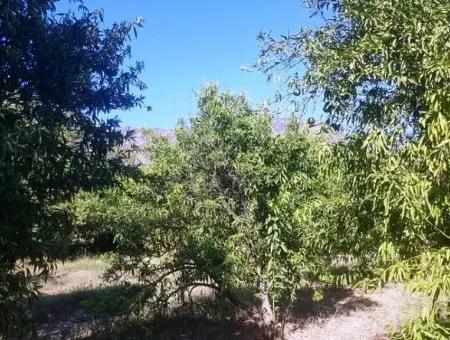 2 750 M2 Freistehendes Grundstück Zu Verkaufen In Köycez Toparlar