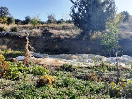 Denizli Çameli Kizilyaka Schmetterling Land Und Dorfhaus Mit Hundeblick Zum Verkauf