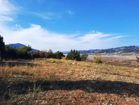 Denizli Çameli Kizilyaka Schmetterling Land Und Dorfhaus Mit Hundeblick Zum Verkauf