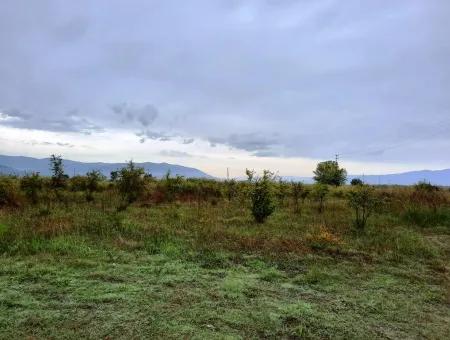 13250 M2 Freistehende Tat Schnäppchen Grundstück E Zwischen Ortaca Tepearasi Zu Verkaufen