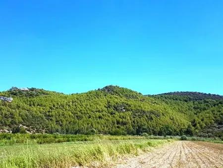 Fruchtbares Schnäppchenland Zum Verkauf In Muğla Ortaca Güzelyurt