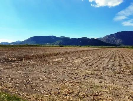 Fruchtbares Schnäppchenland Zum Verkauf In Muğla Ortaca Güzelyurt