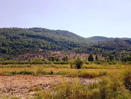Fruchtbares Schnäppchenland Zum Verkauf In Muğla Ortaca Güzelyurt