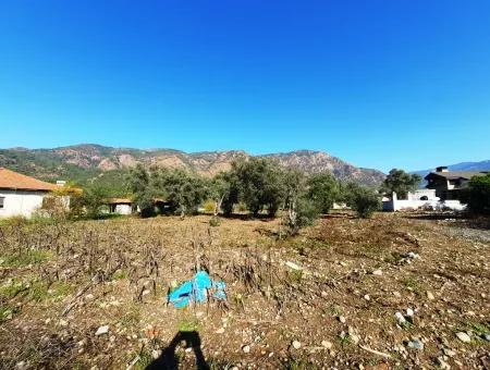 2.000 M2 Kelepir Freistehendes Zoning-Land Zum Verkauf In Köyce-Inz Topars