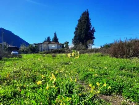 Mugla Ortaca Dalyan Ist Auch Fruchtbares Land Geeignet Für 9 300 M2 Investition Mit Straßenfassaden Zum Verkauf