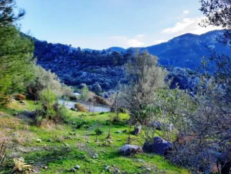 Mugla Dalyan Gokbel 1700 M2 Freistehendes Land Und Bungalow Mit Blick Auf Die Natur