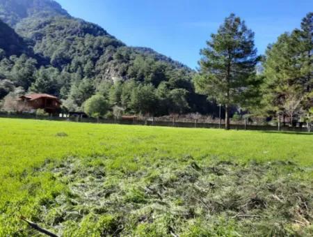 Mergenli Zum Verkauf In Ortaca Berg-Null-Investment Ein Schnäppchen Geeigneten Grundstücken