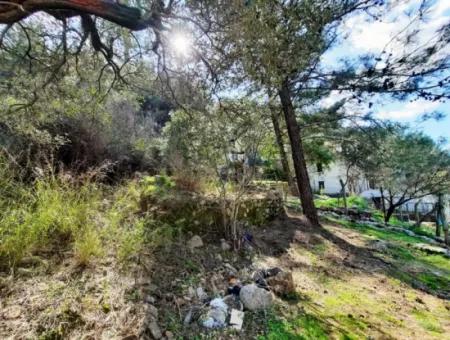 Ruiniertes Dorfhaus Aus Stein Zum Verkauf In Gökova Und Seinem Land