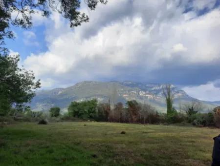 7668 M2 Schnäppchenland Mit Seeblick Zum Verkauf In Köyceiz Zeytinalani