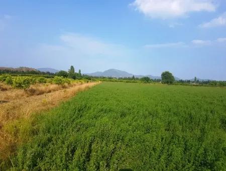3700 M2 Fruchtbares Feld Zum Verkauf In Ortaca Fevziye