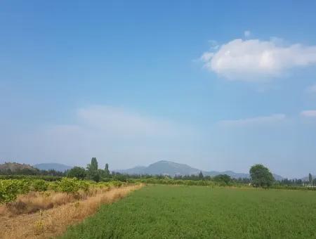 3700 M2 Fruchtbares Feld Zum Verkauf In Ortaca Fevziye