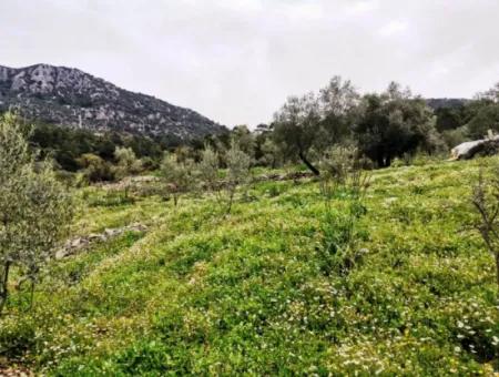 Freistehendes Dorfhaus In Der Natur Zu Verkaufen In Fethiye Gocek Ta'basi