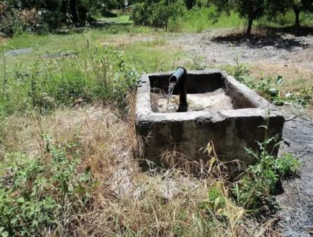 Köyceğizde See Schließen 2 650M2 Freistehender Garten Zum Verkauf